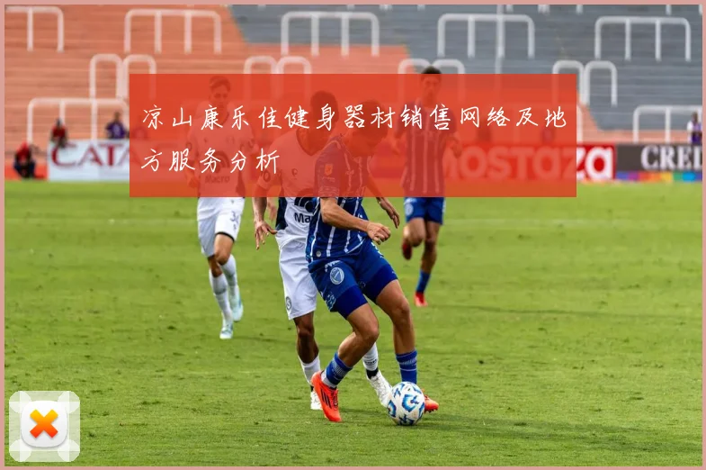 凉山康乐佳健身器材销售网络及地方服务分析