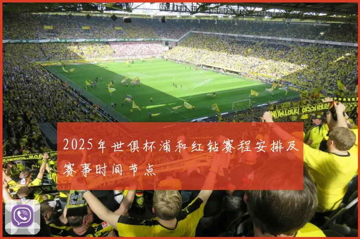 2025年世俱杯浦和红钻赛程安排及赛事时间节点
