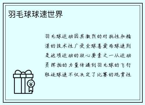 羽毛球球速世界