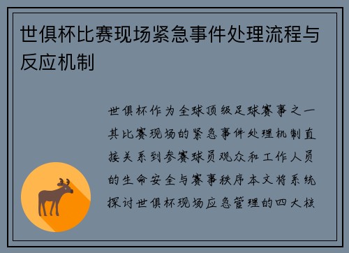 世俱杯比赛现场紧急事件处理流程与反应机制